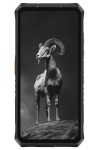 Ulefone Armor 28 Pro 5G