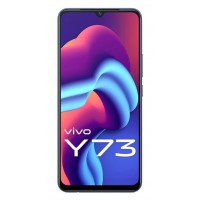 Y73 2021