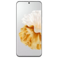 P60 Pro